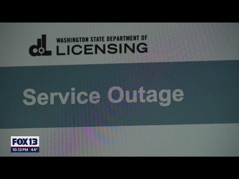 DOL shuts down online business licensing services due to data breach | FOX 13 Seattle